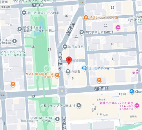 エスレジデンス錦糸町パークサイドの物件内観写真